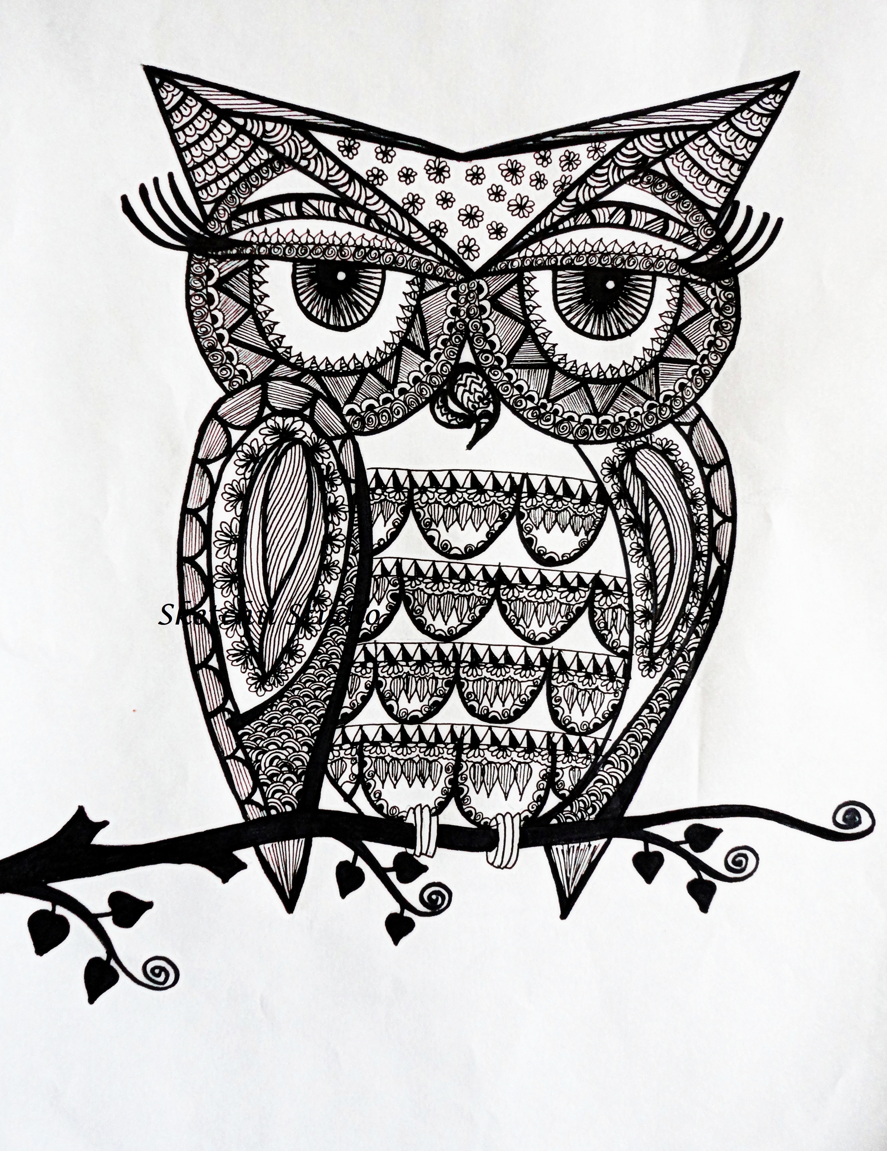 zentangle owl coloring pages - photo #12